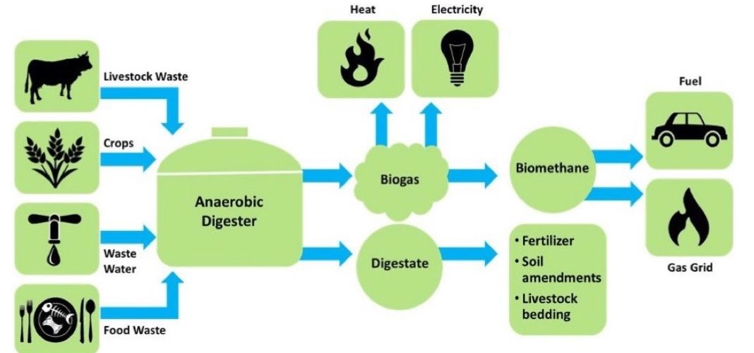 Thesis 2018: Identifying barriers and enablers of the biogas value ...